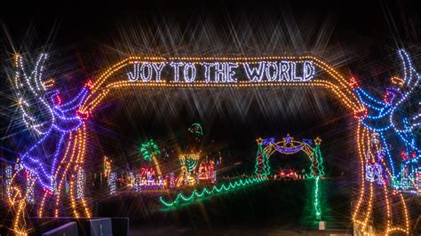 Embark on a Journey of Lights at the Magic of Lights in Naples, FL